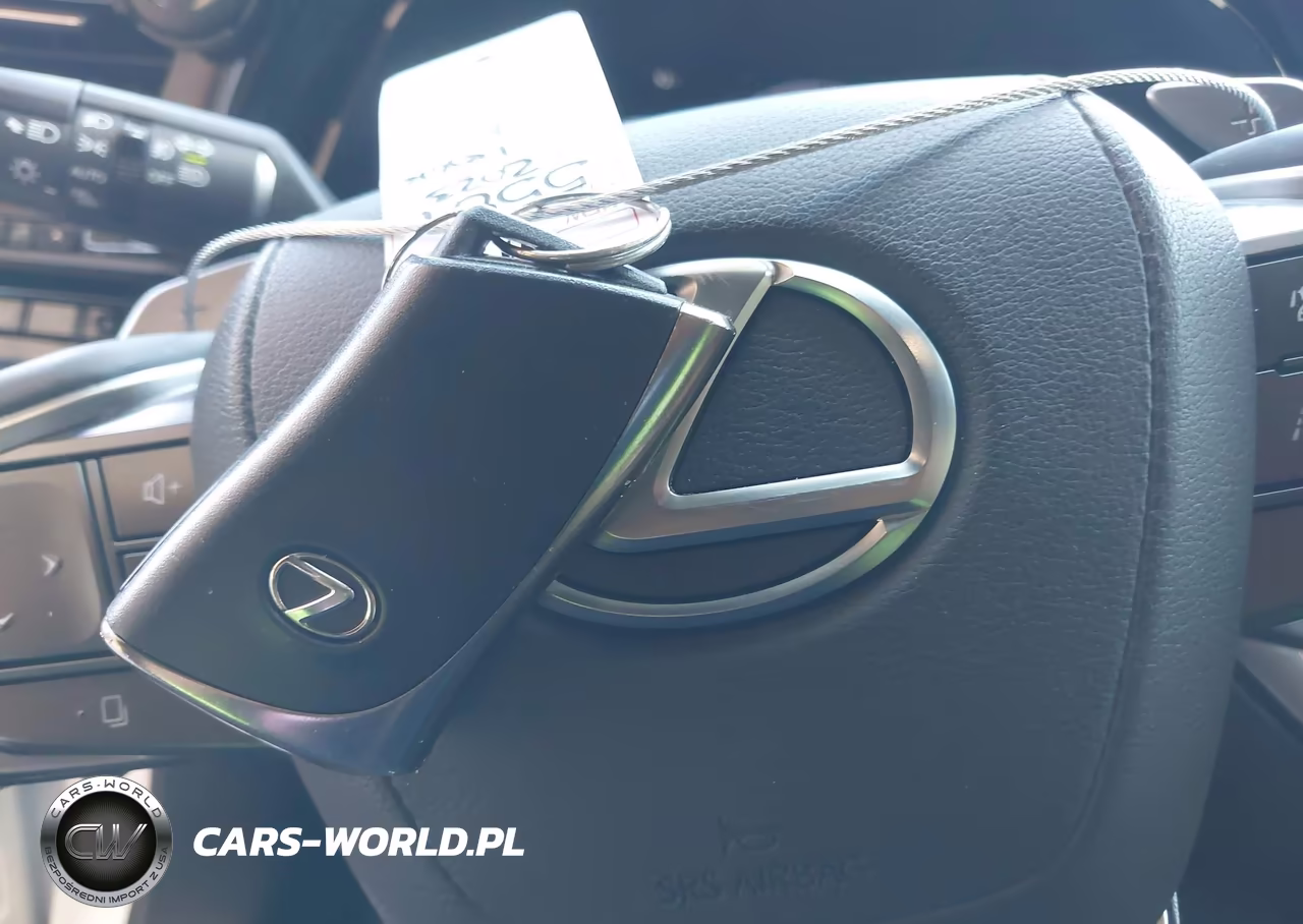 2023 Lexus Rx 350 Premium Plus VIN:2T2BAMBA1PC002533 - 11