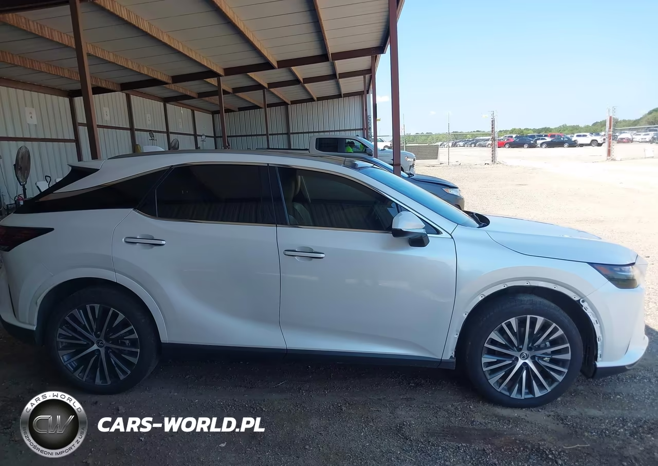 2023 Lexus Rx 350 Premium Plus VIN:2T2BAMBA1PC002533 - 13