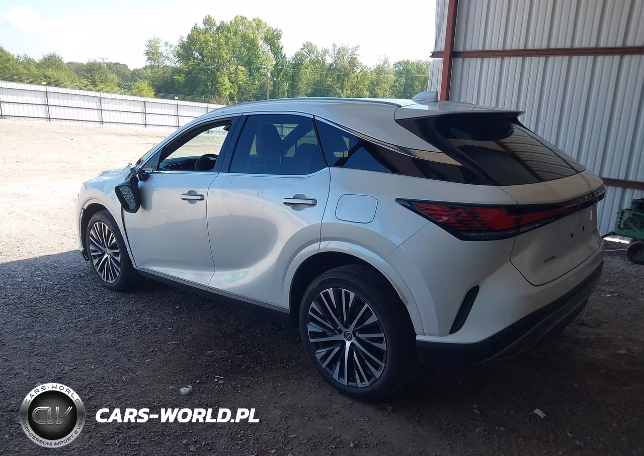 2023 Lexus Rx 350 Premium Plus VIN:2T2BAMBA1PC002533 - 3