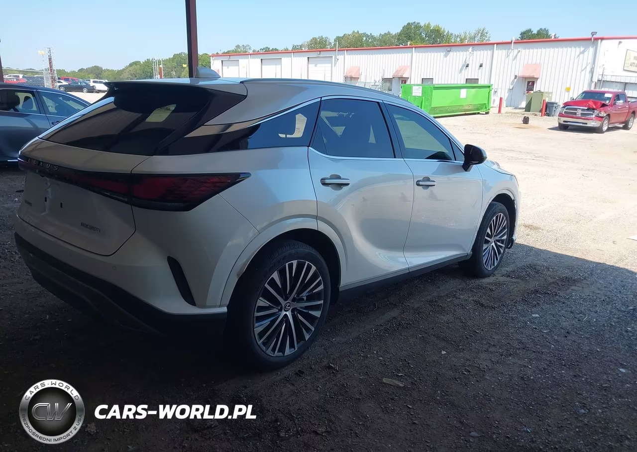 2023 Lexus Rx 350 Premium Plus VIN:2T2BAMBA1PC002533 - 4
