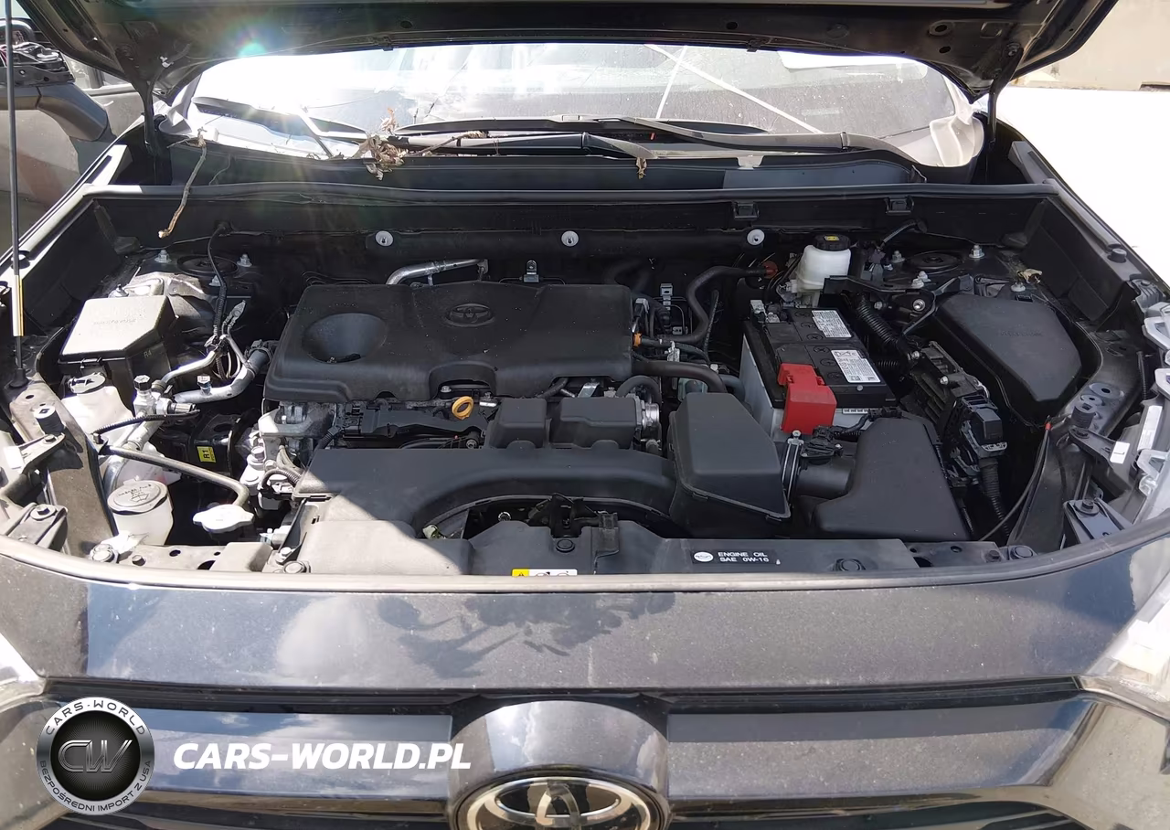 2024 Toyota Rav4 Xle VIN:2T3P1RFV8RC484674 - 10