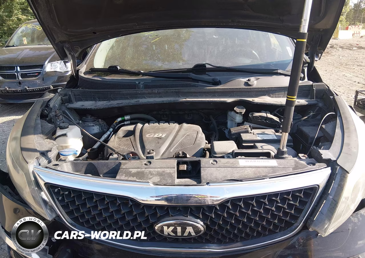 2016 Kia Sportage Lx VIN:KNDPB3AC7G7795150 - 10