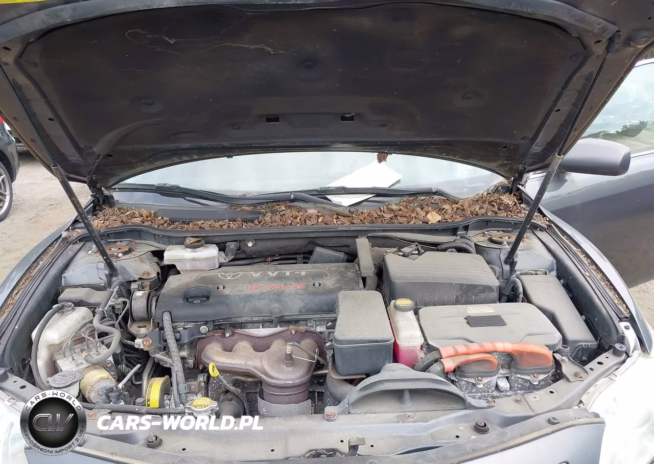2009 Toyota Camry Hybrid VIN:4T1BB46K59U064992 - 10