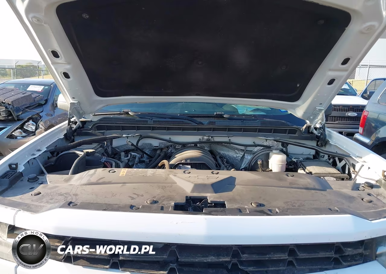 2018 Chevrolet Silverado 1500 Custom VIN:3GCPCPEC6JG139600 - 10