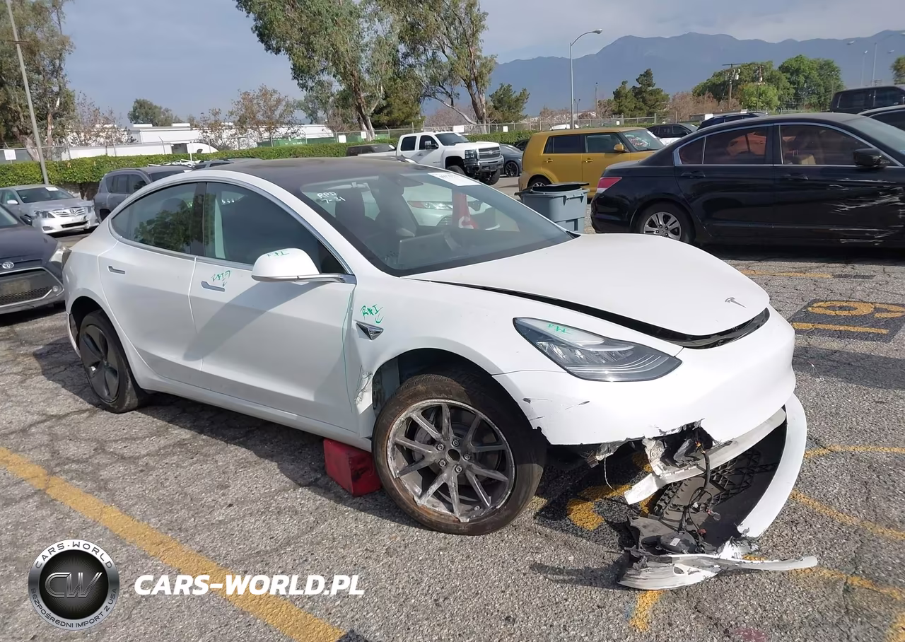 2020 Tesla Model 3 Standard Range Plus Rear-Wheel Drive-Standard Range Rear-Wheel Drive