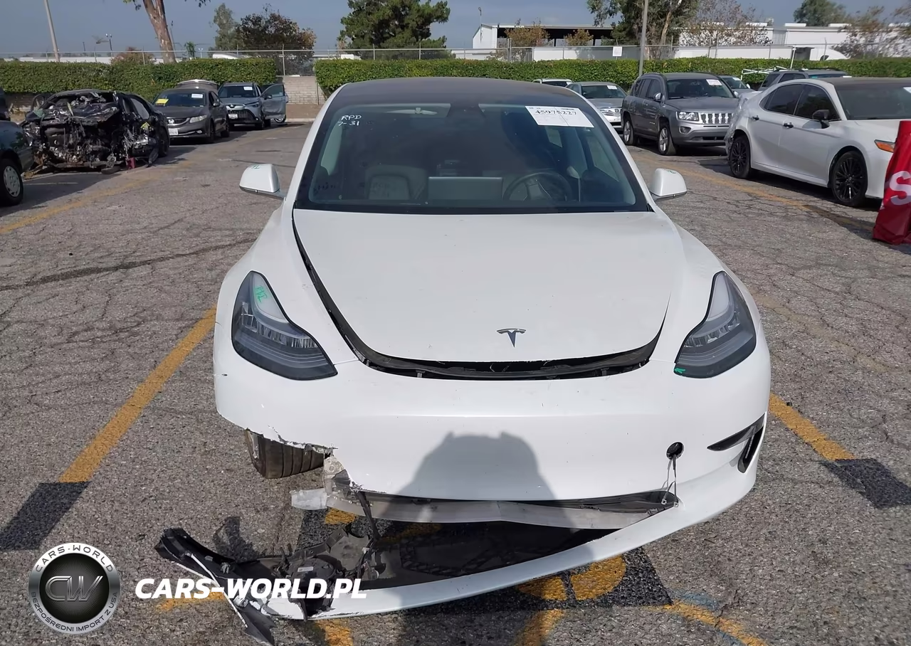 2020 Tesla Model 3 Standard Range Plus Rear-Wheel Drive-Standard Range Rear-Wheel Drive VIN:5YJ3E1EA2LF658978 - 11