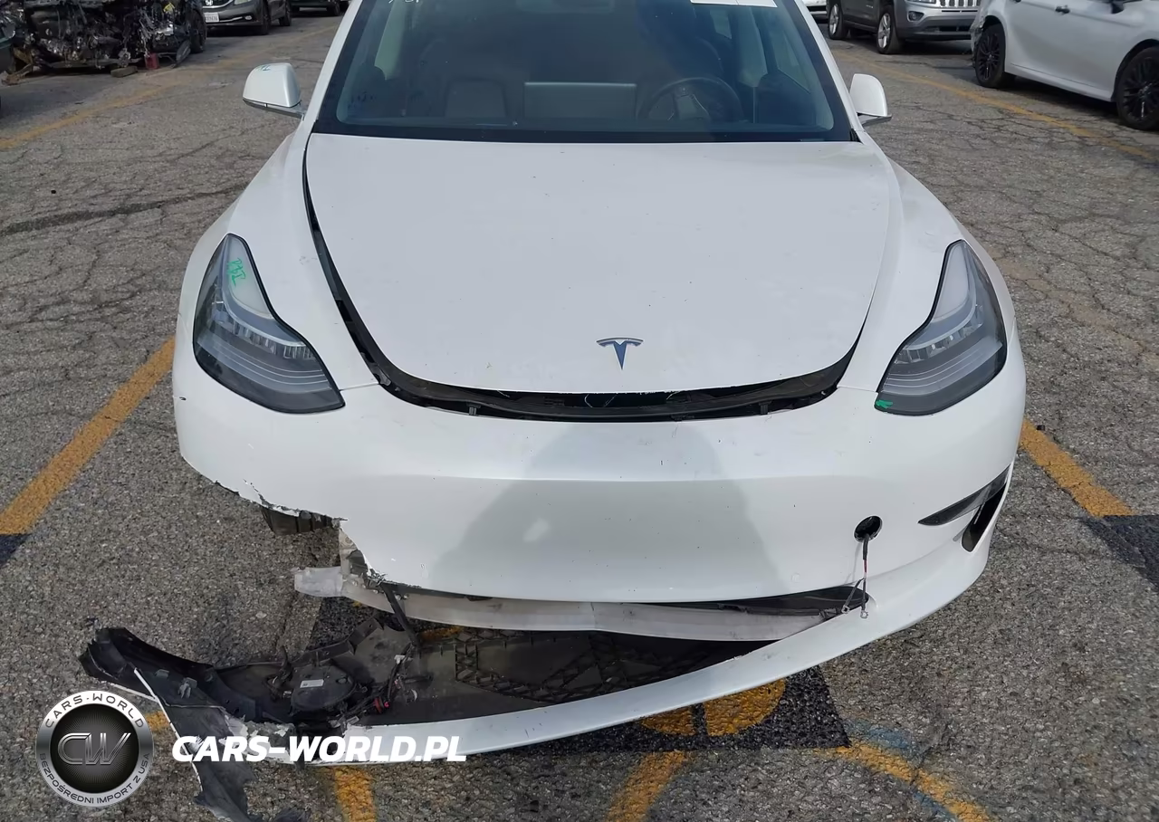 2020 Tesla Model 3 Standard Range Plus Rear-Wheel Drive-Standard Range Rear-Wheel Drive VIN:5YJ3E1EA2LF658978 - 19