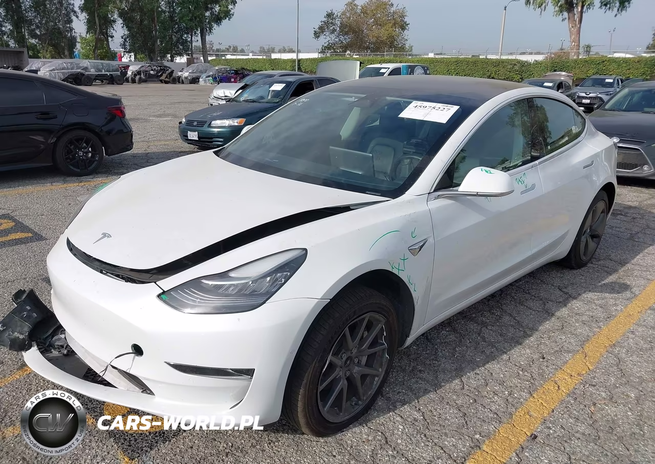 2020 Tesla Model 3 Standard Range Plus Rear-Wheel Drive-Standard Range Rear-Wheel Drive VIN:5YJ3E1EA2LF658978 - 2
