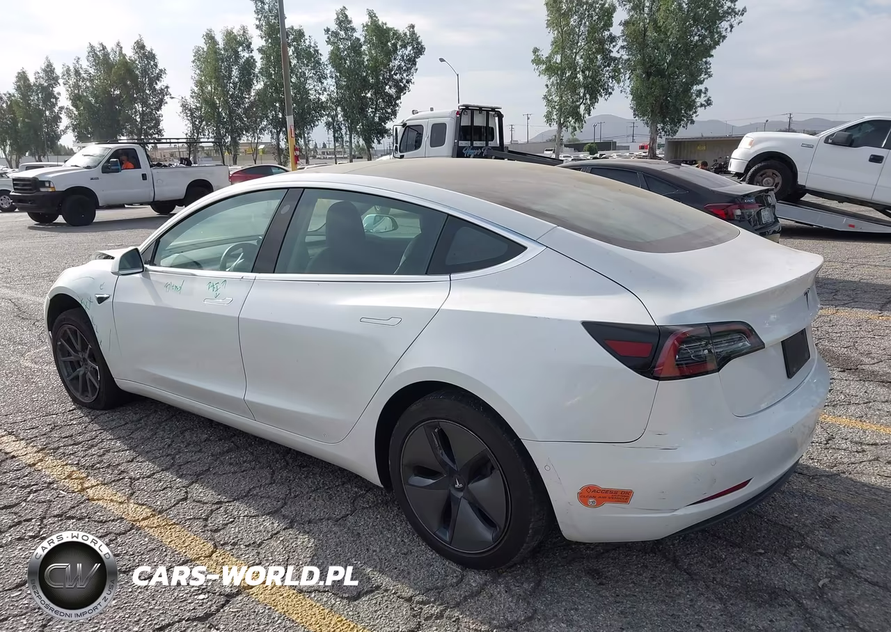 2020 Tesla Model 3 Standard Range Plus Rear-Wheel Drive-Standard Range Rear-Wheel Drive VIN:5YJ3E1EA2LF658978 - 3