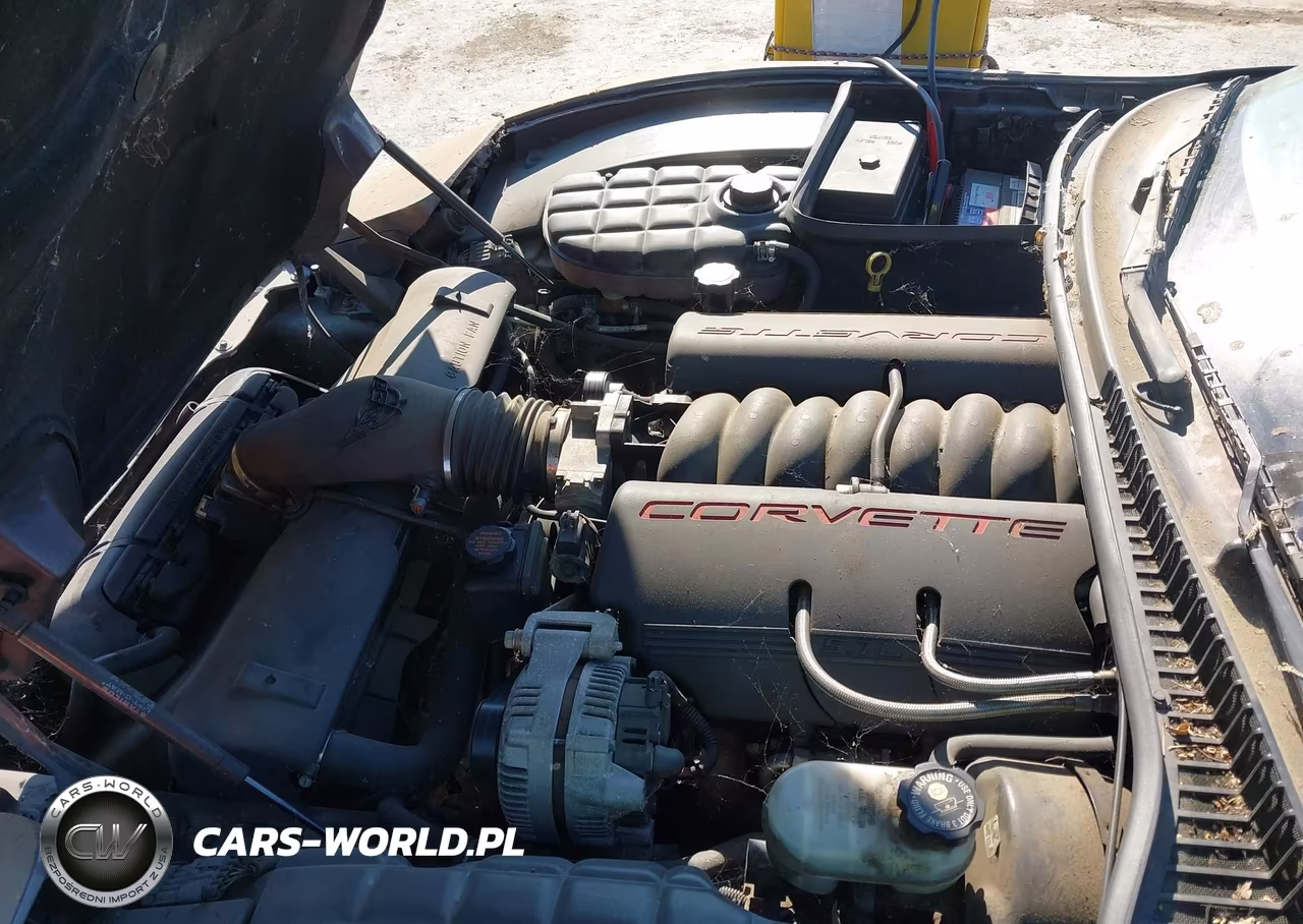 1998 Chevrolet Corvette VIN:1G1YY32GXW5102532 - 10