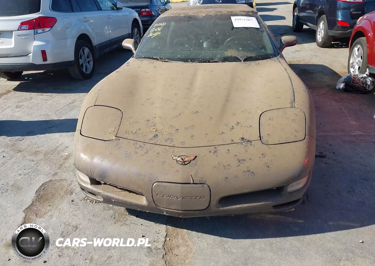 1998 Chevrolet Corvette VIN:1G1YY32GXW5102532 - 6