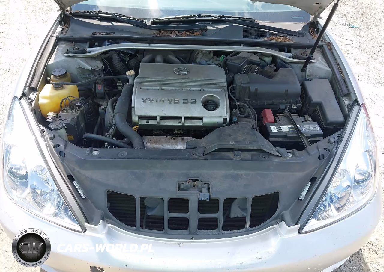 2005 Lexus Es 330 VIN:JTHBA30G455138072 - 10