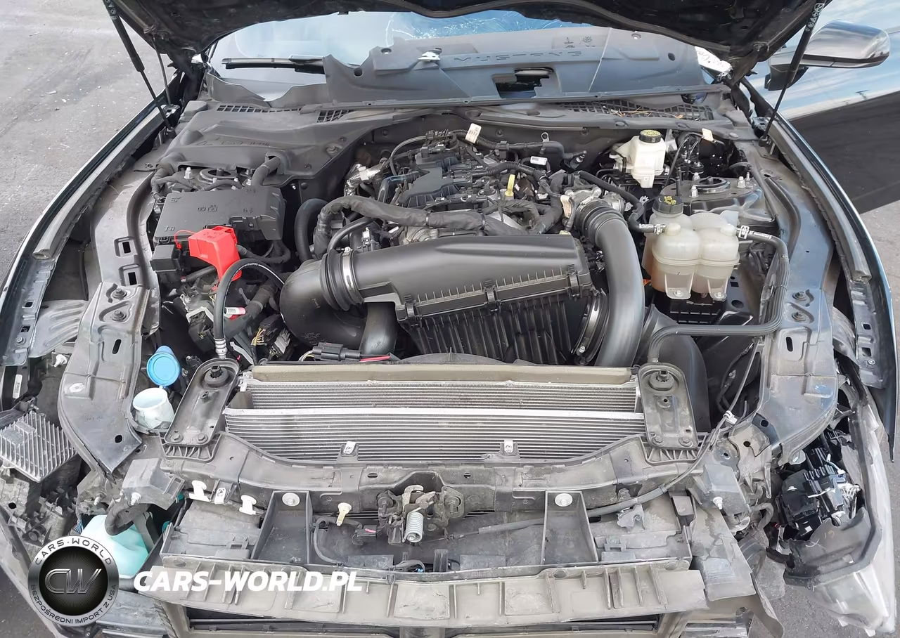 2024 Ford Mustang Ecoboost Fastback VIN:1FA6P8TH6R5107937 - 10
