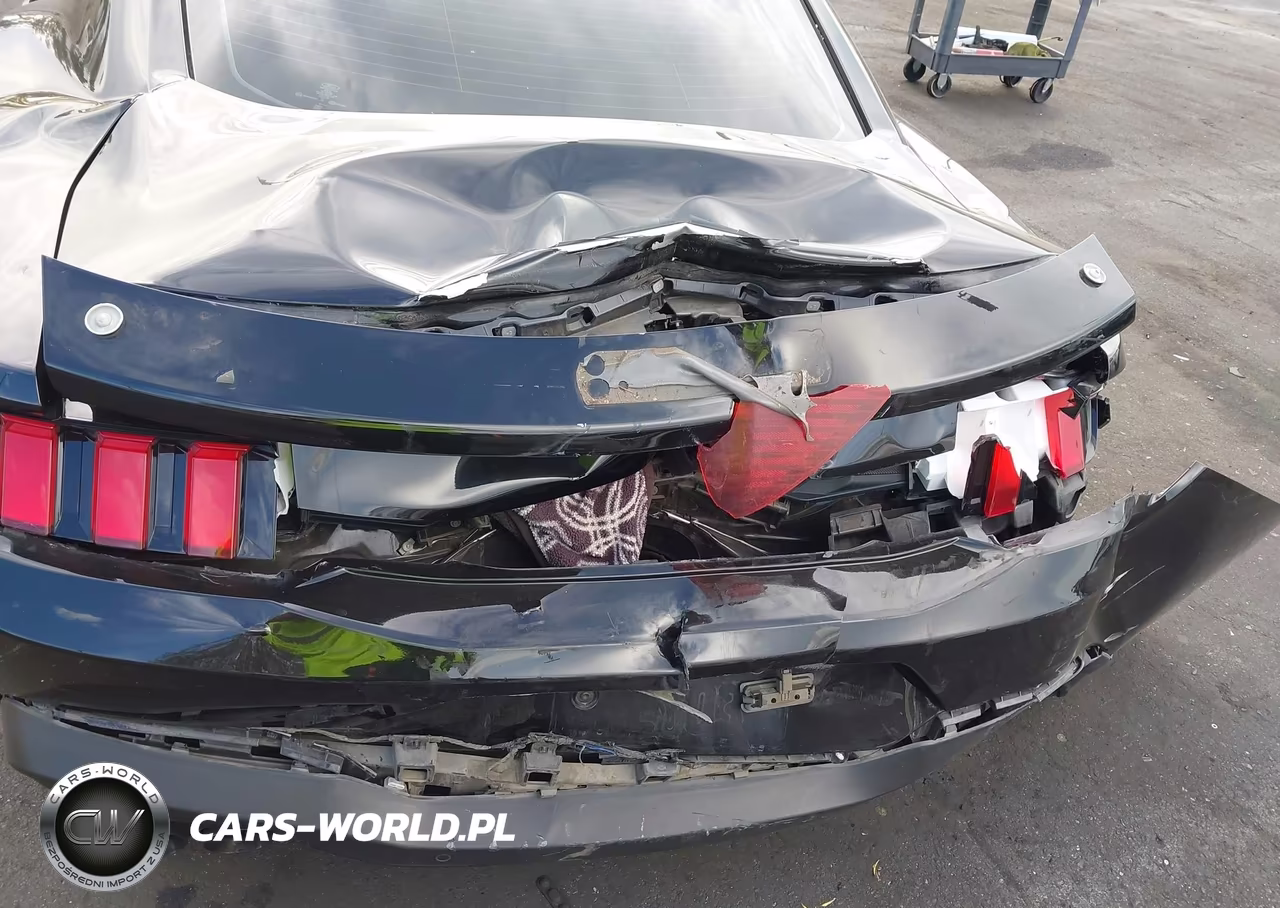 2024 Ford Mustang Ecoboost Fastback VIN:1FA6P8TH6R5107937 - 19