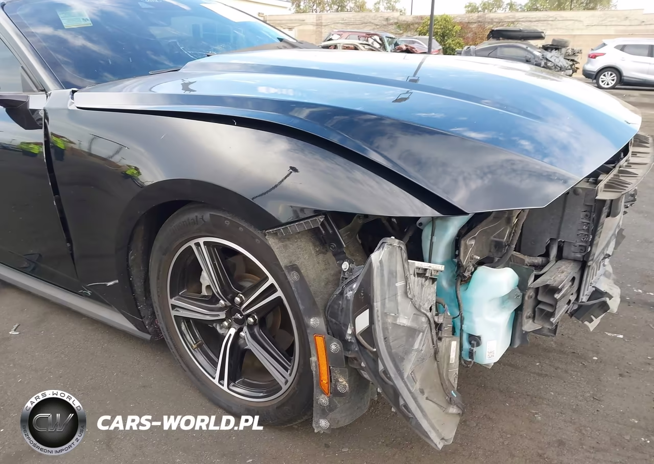 2024 Ford Mustang Ecoboost Fastback VIN:1FA6P8TH6R5107937 - 22