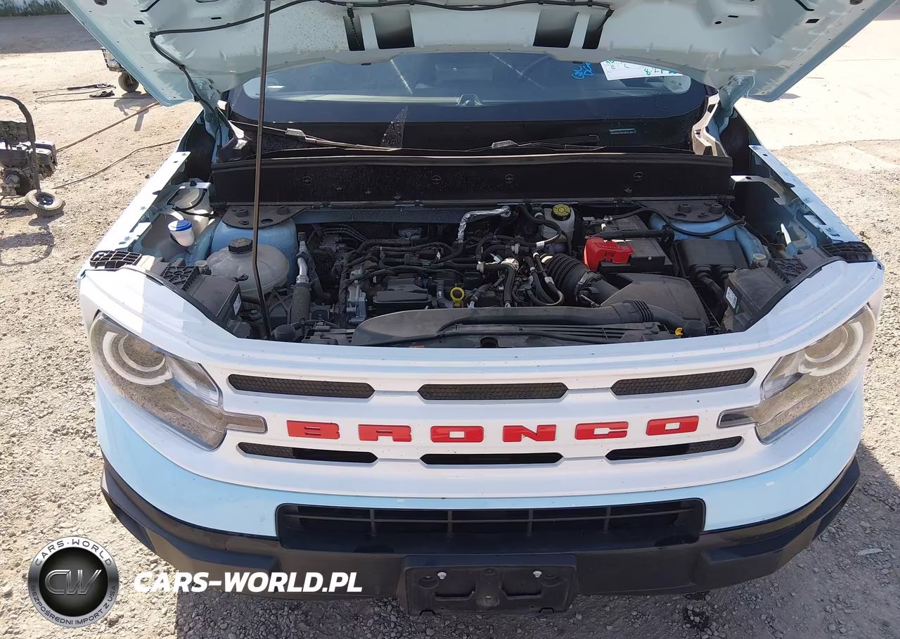 2023 Ford Bronco Sport Heritage VIN:3FMCR9G61PRE18316 - 10