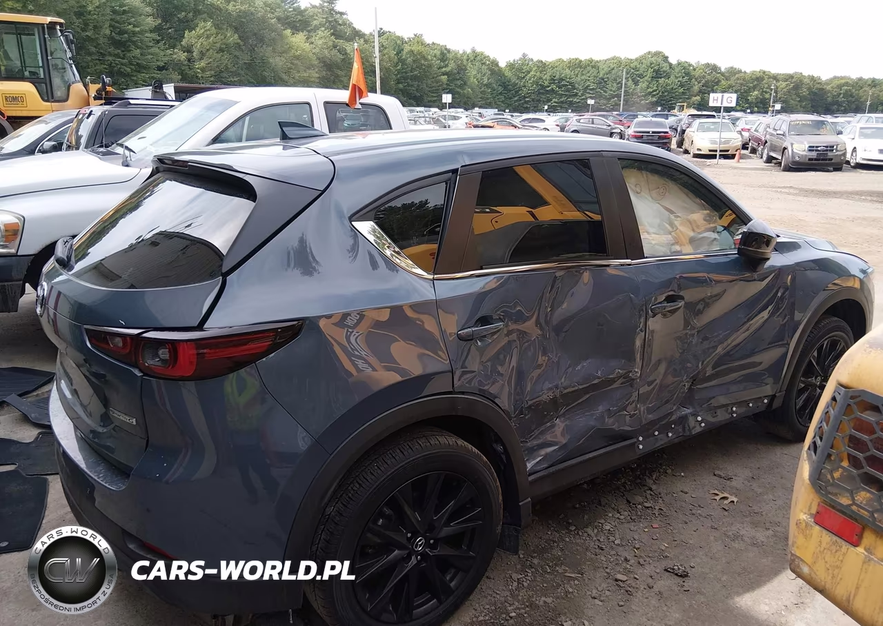 2025 Mazda Cx-5 2.5 S Carbon Edition VIN:JM3KFBCMXS0637117 - 12
