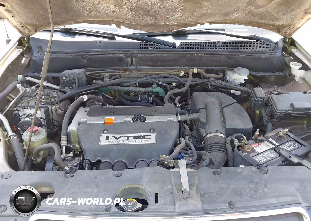 2005 Honda Cr-V Se VIN:JHLRD78905C049411 - 10