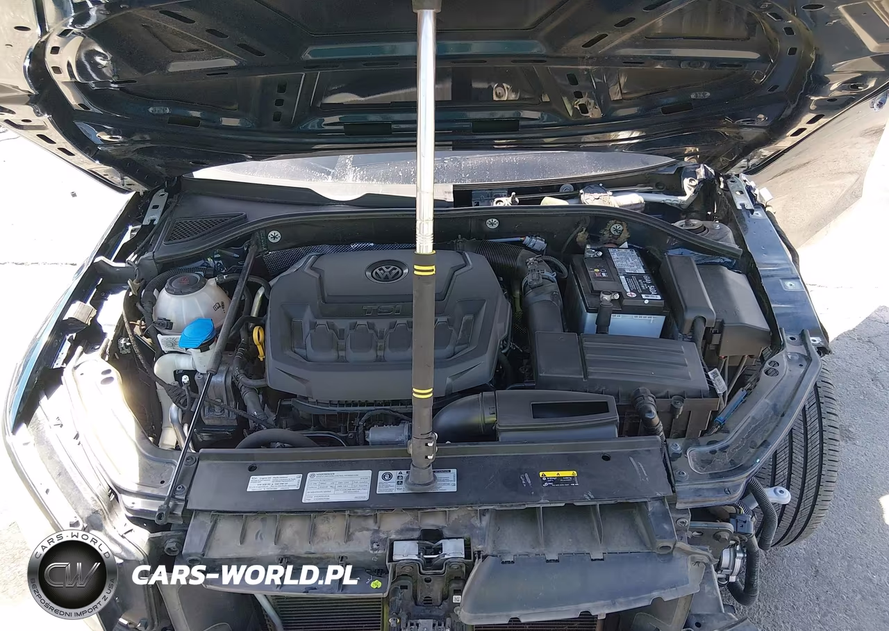 2019 Volkswagen Passat 2.0T Wolfsburg Edition VIN:1VWLA7A36KC000840 - 10