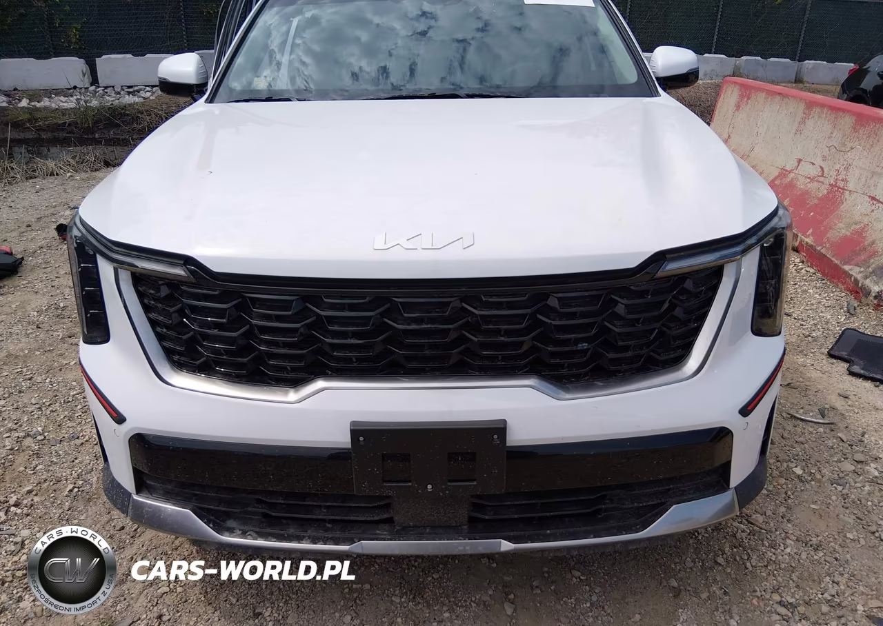 2024 Kia Sorento S VIN:5XYRL4JC3RG254579 - 12