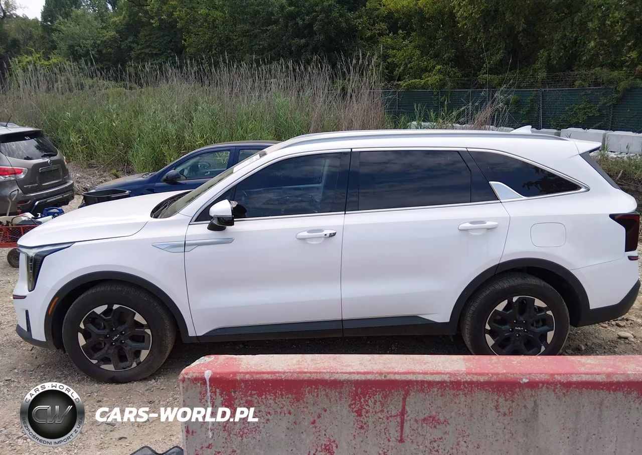 2024 Kia Sorento S VIN:5XYRL4JC3RG254579 - 14