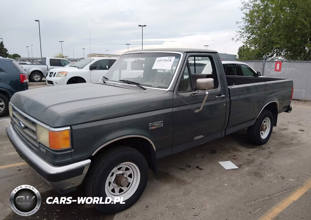 1991 Ford F150 VIN:1FTEF14H1MLA81153 - 2