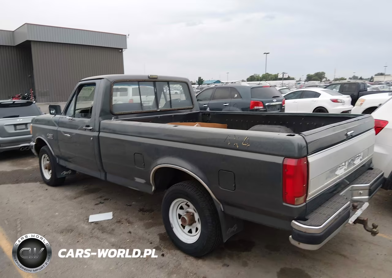 1991 Ford F150 VIN:1FTEF14H1MLA81153 - 3