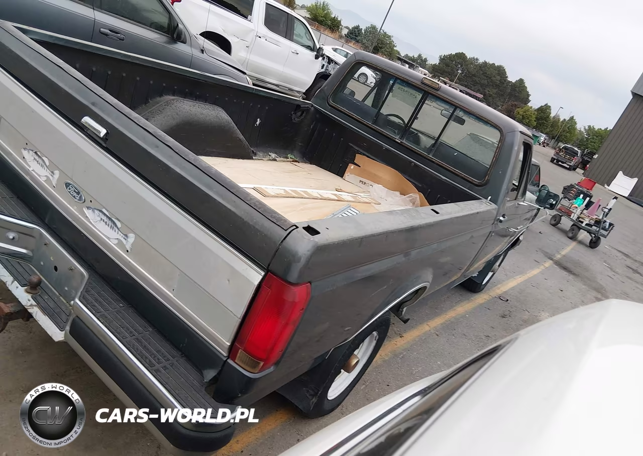 1991 Ford F150 VIN:1FTEF14H1MLA81153 - 4