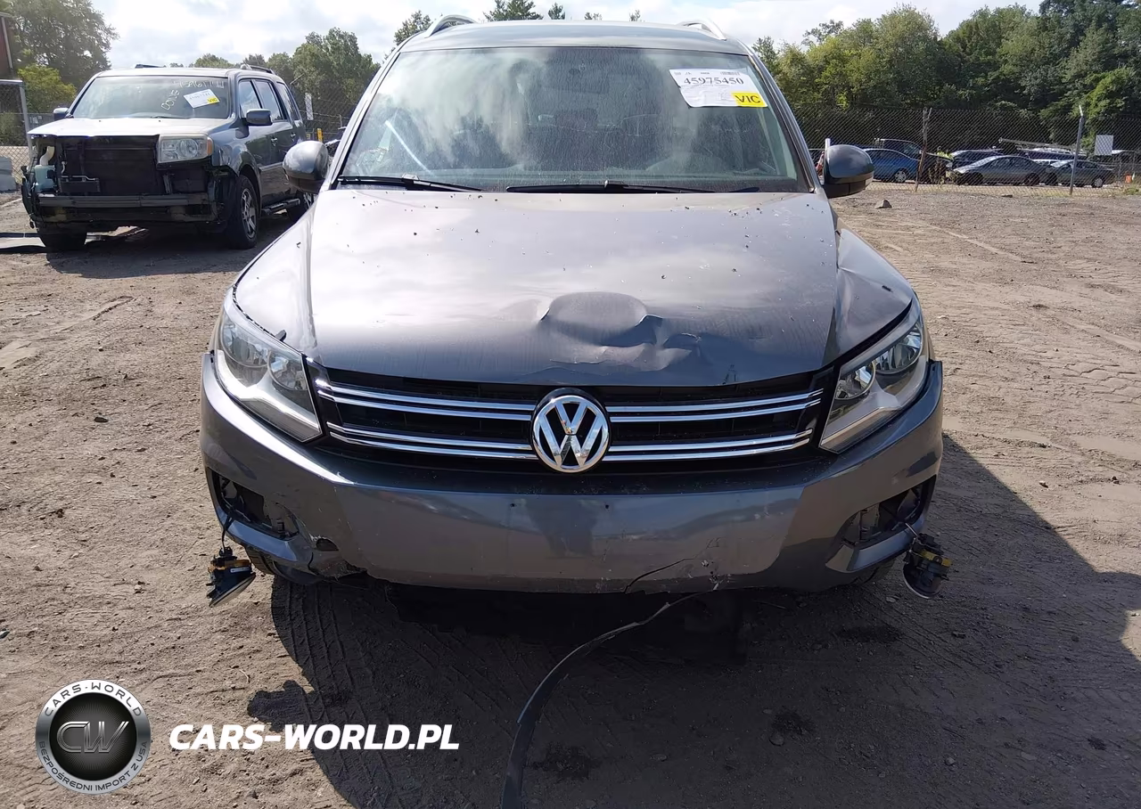 2014 Volkswagen Tiguan Se VIN:WVGAV3AX7EW512924 - 13