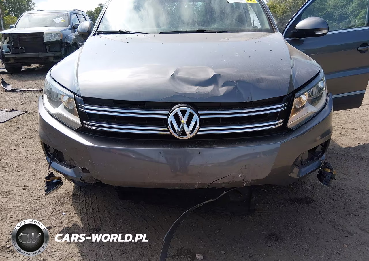 2014 Volkswagen Tiguan Se VIN:WVGAV3AX7EW512924 - 6