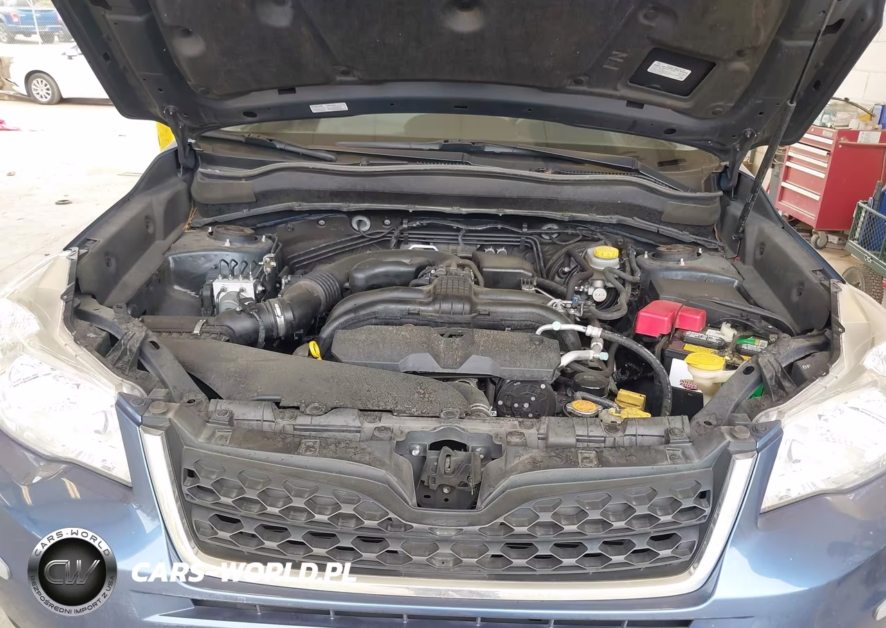 2016 Subaru Forester 2.5I Limited VIN:JF2SJAHC6GH462408 - 10