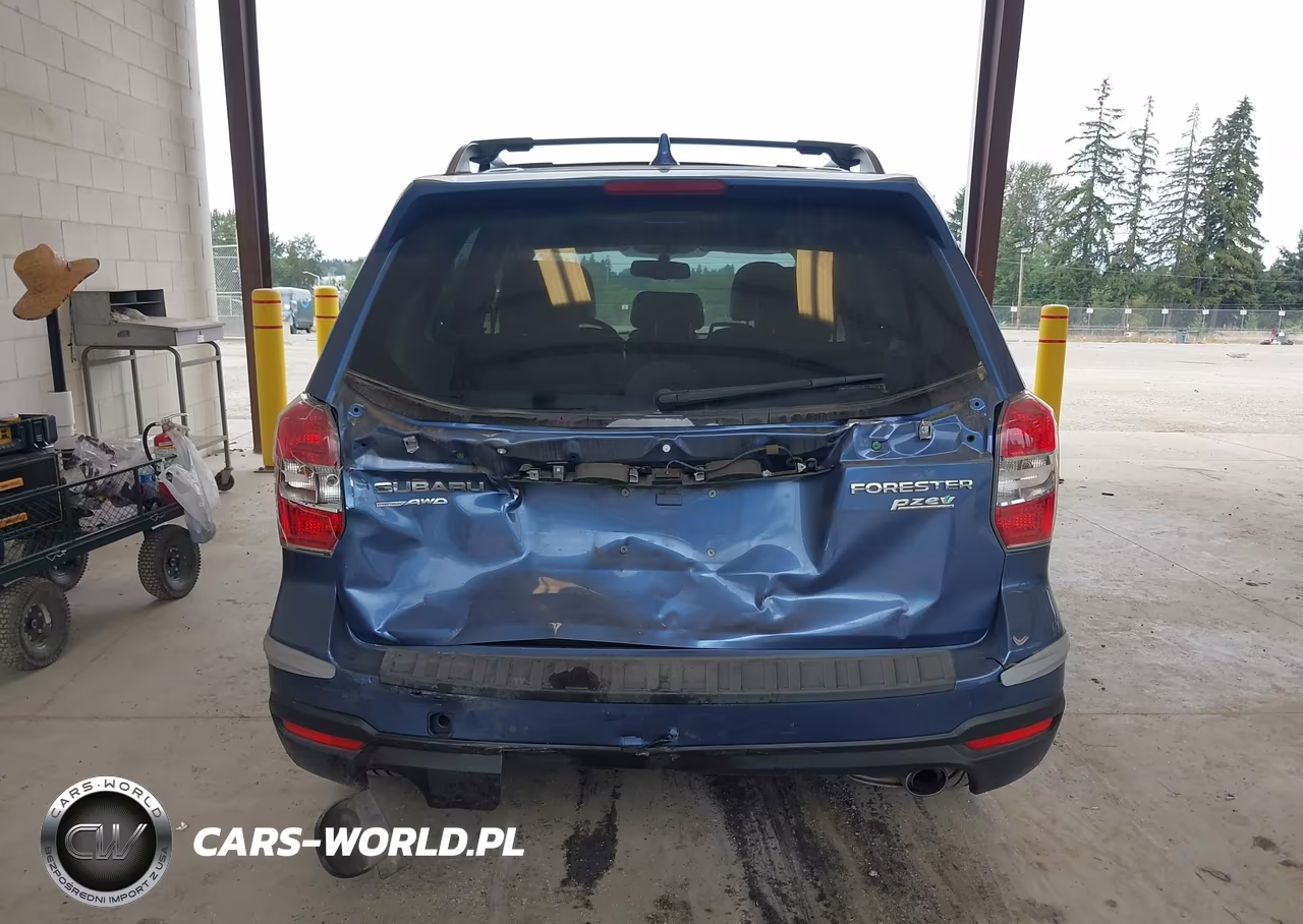 2016 Subaru Forester 2.5I Limited VIN:JF2SJAHC6GH462408 - 16