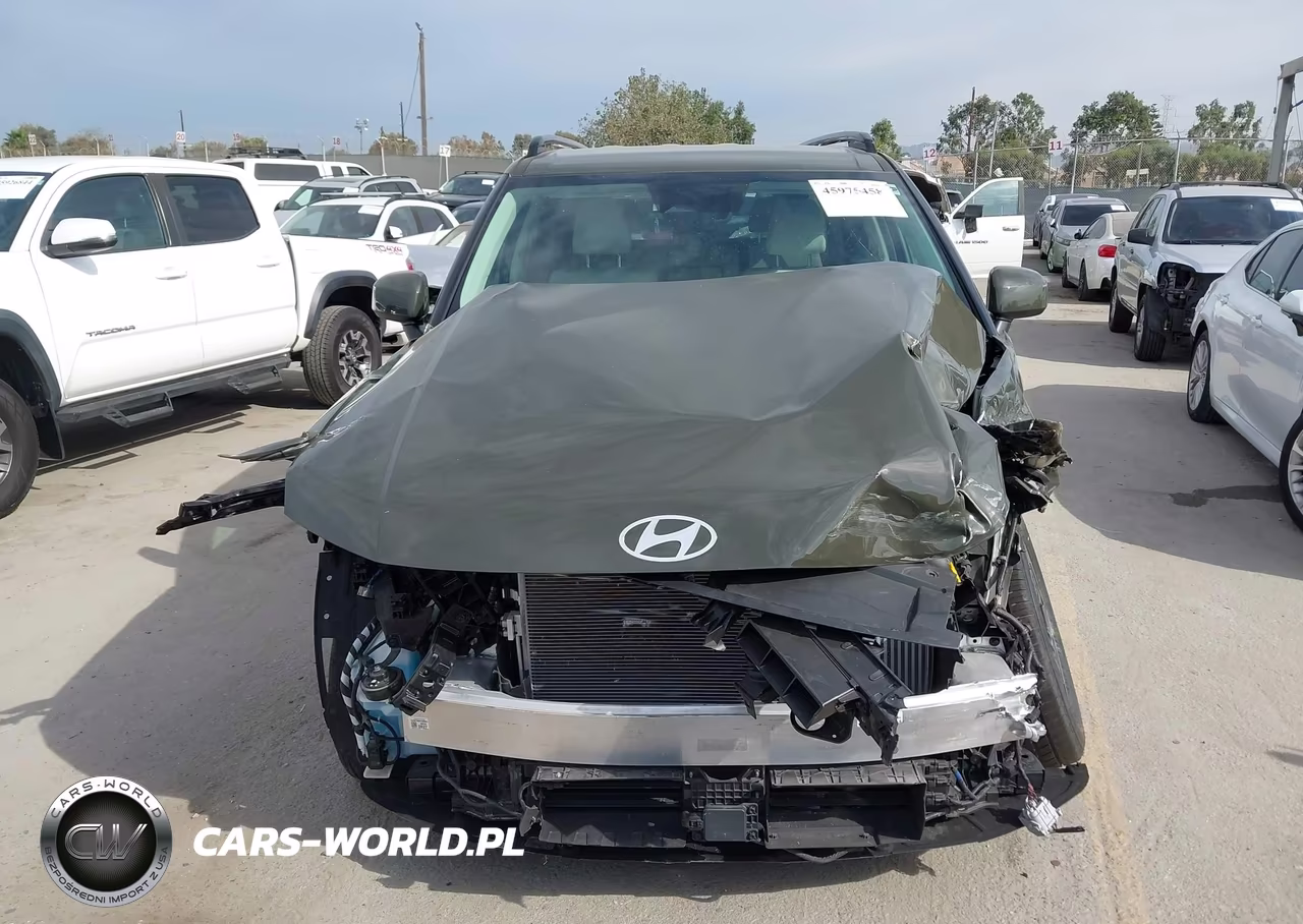 2025 Hyundai Santa Fe Sel VIN:5NMP24GL5SH103577 - 13