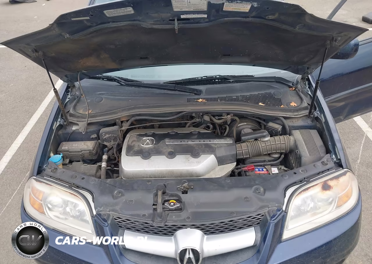 2004 Acura Mdx VIN:2HNYD18624H522095 - 10