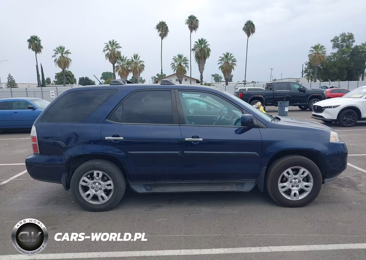 2004 Acura Mdx VIN:2HNYD18624H522095 - 13