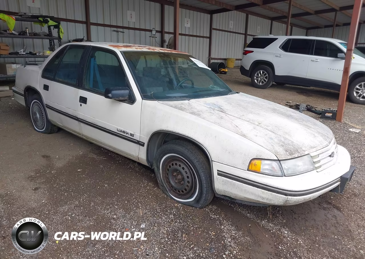 1991 Chevrolet Lumina – zdjęcie 1 z 13
