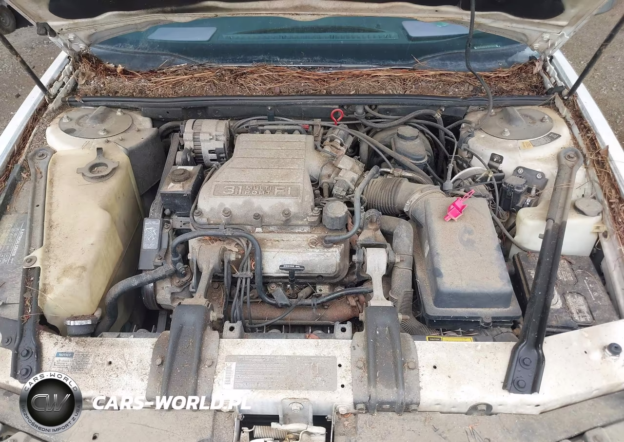 1991 Chevrolet Lumina VIN:2G1WL54T0M1129880 - 10
