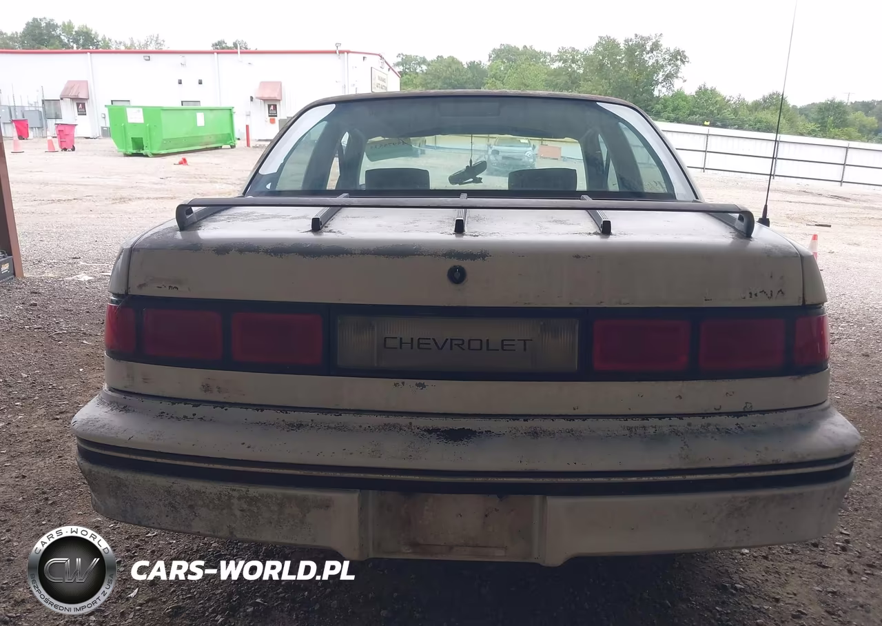 1991 Chevrolet Lumina VIN:2G1WL54T0M1129880 - 12