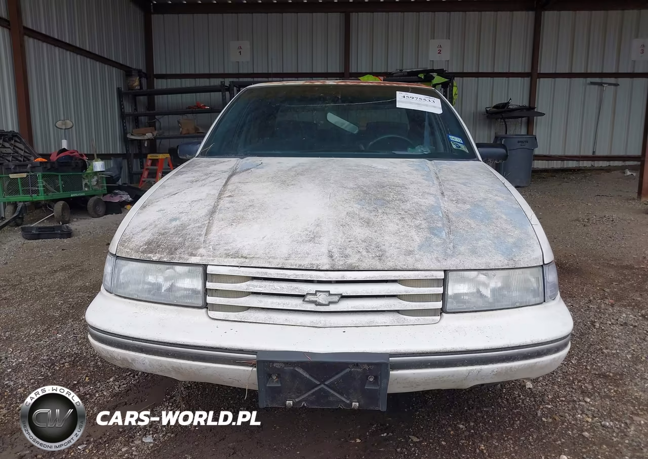 1991 Chevrolet Lumina VIN:2G1WL54T0M1129880 - 13