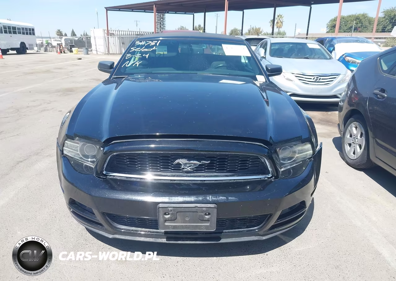 2014 Ford Mustang V6 VIN:1ZVBP8EM6E5311731 - 12
