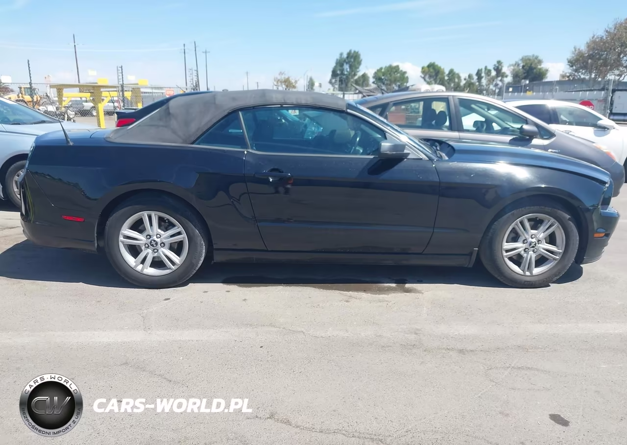 2014 Ford Mustang V6 VIN:1ZVBP8EM6E5311731 - 13