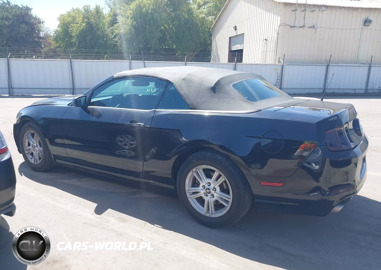 2014 Ford Mustang V6 VIN:1ZVBP8EM6E5311731 - 14