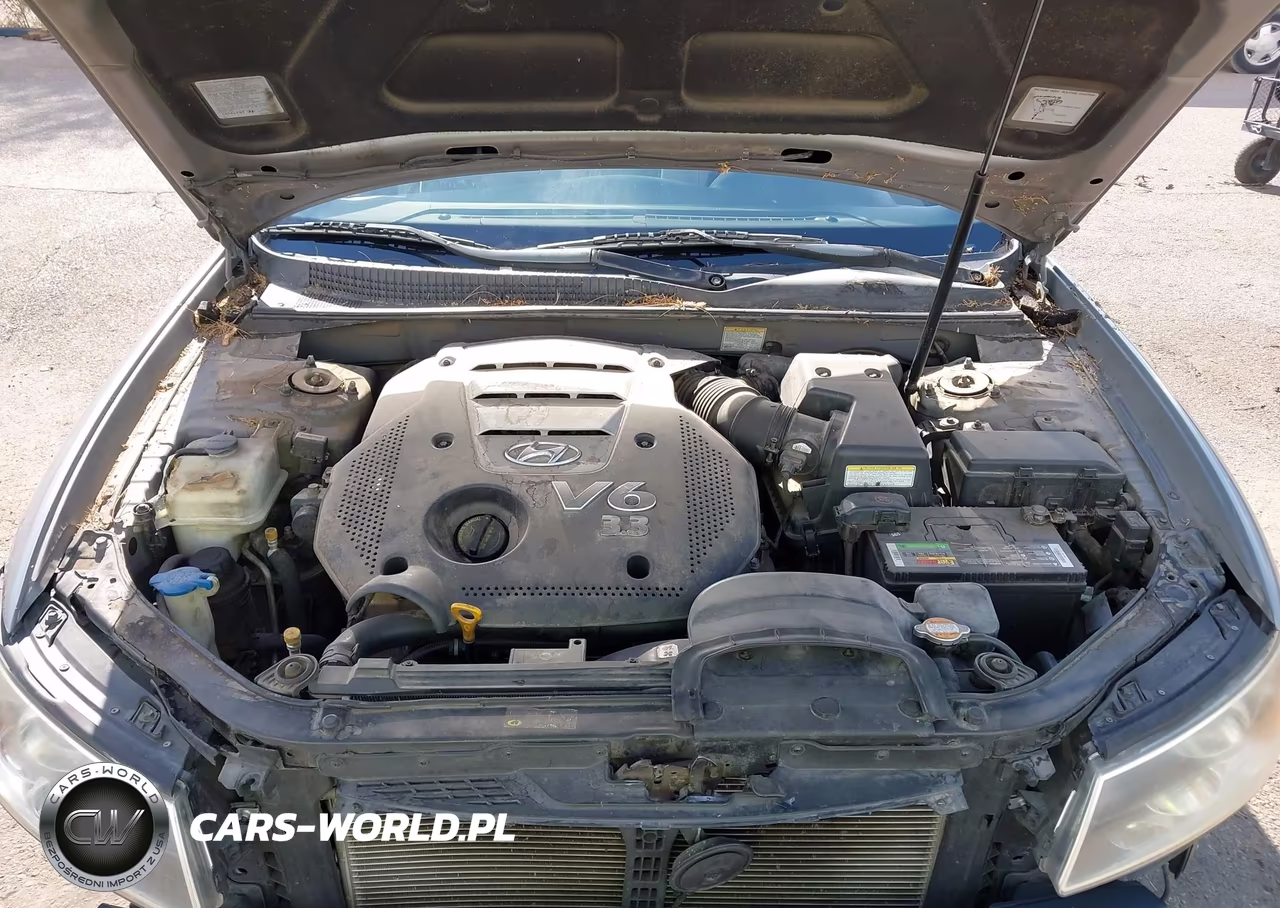 2006 Hyundai Sonata Gls V6-Lx V6 VIN:5NPEU46F76H022442 - 10