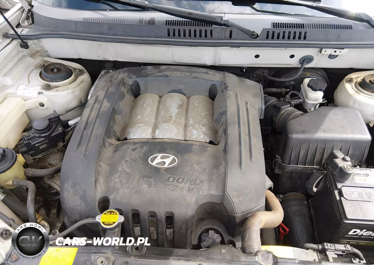 2003 Hyundai Santa Fe Gls-Lx VIN:KM8SC73D93U368564 - 10