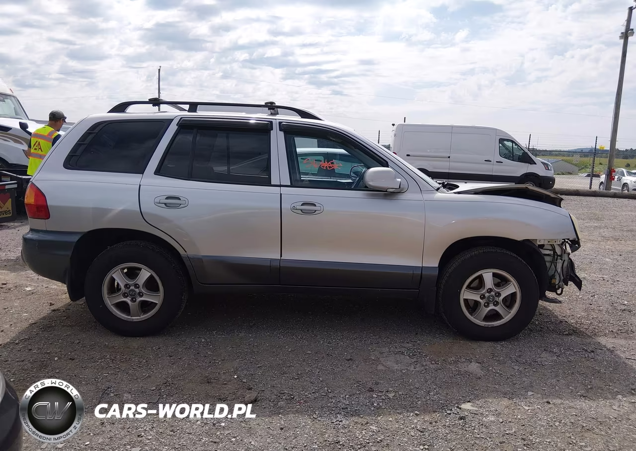 2003 Hyundai Santa Fe Gls-Lx VIN:KM8SC73D93U368564 - 13