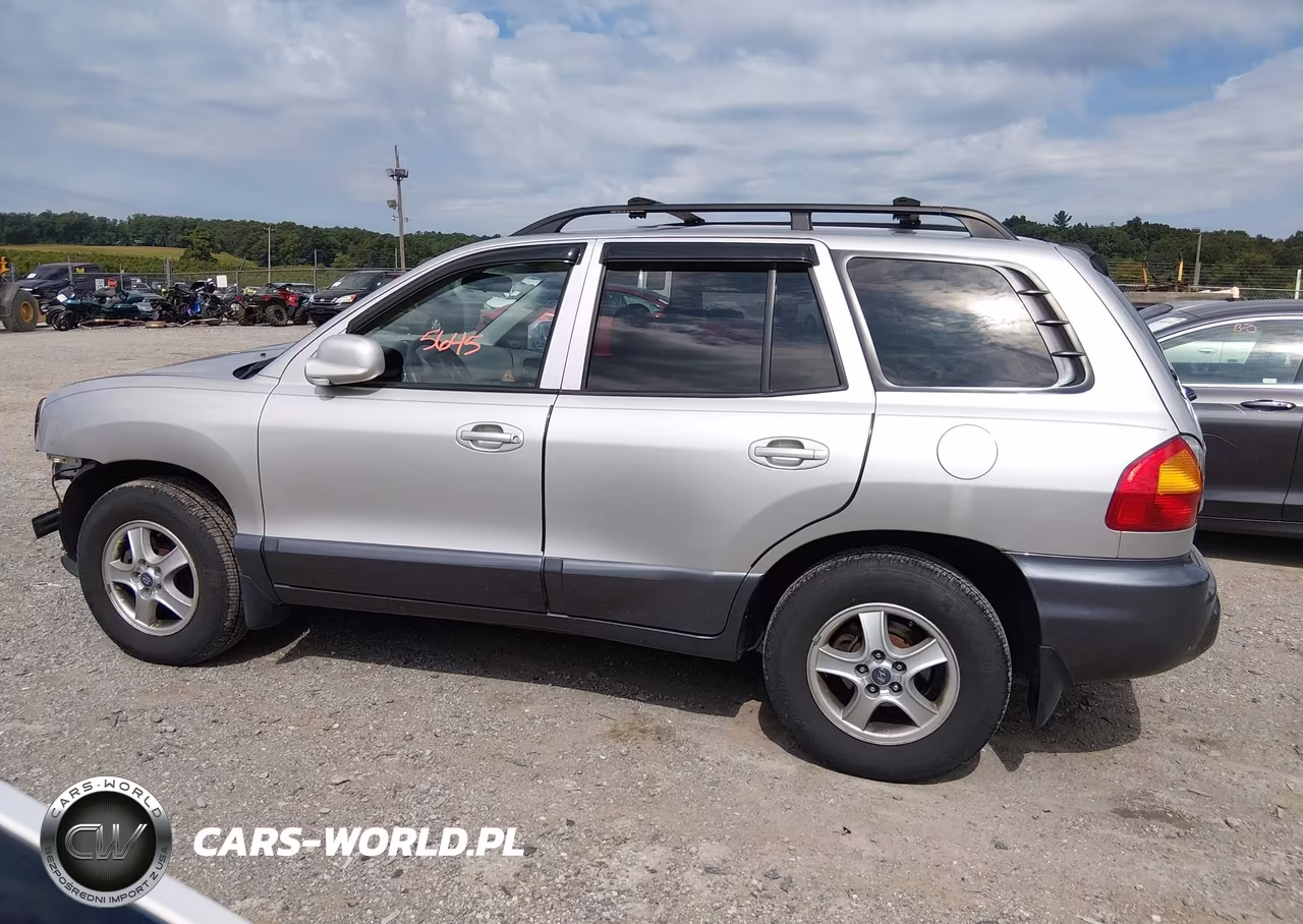 2003 Hyundai Santa Fe Gls-Lx VIN:KM8SC73D93U368564 - 14