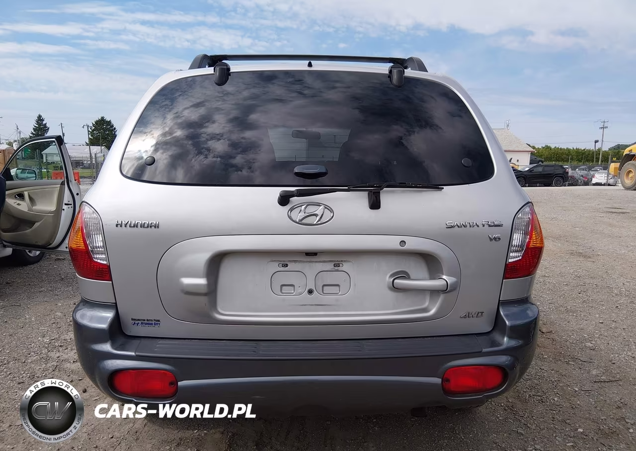 2003 Hyundai Santa Fe Gls-Lx VIN:KM8SC73D93U368564 - 16