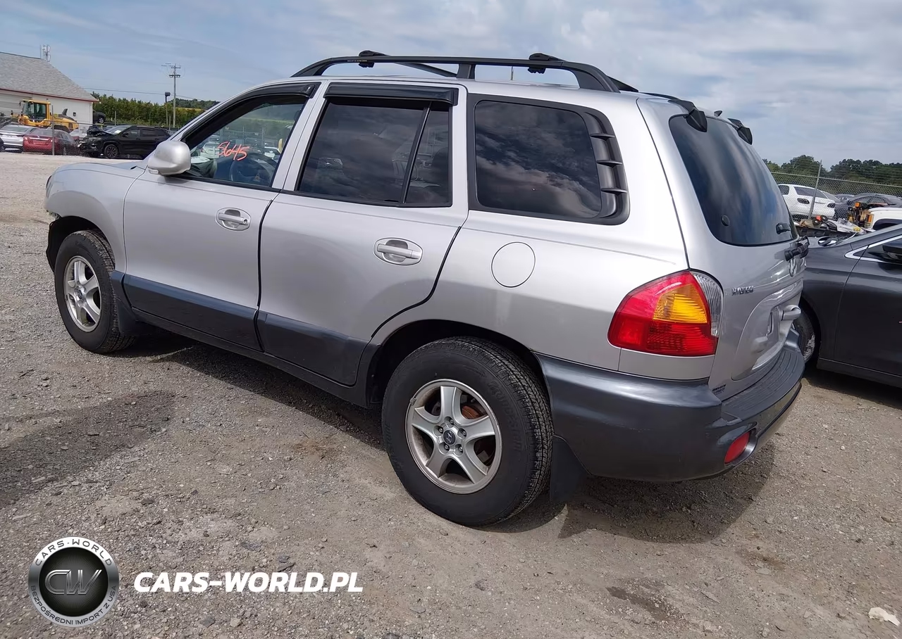 2003 Hyundai Santa Fe Gls-Lx VIN:KM8SC73D93U368564 - 3
