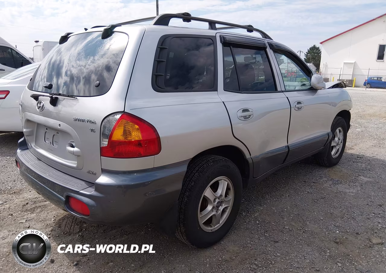 2003 Hyundai Santa Fe Gls-Lx VIN:KM8SC73D93U368564 - 4