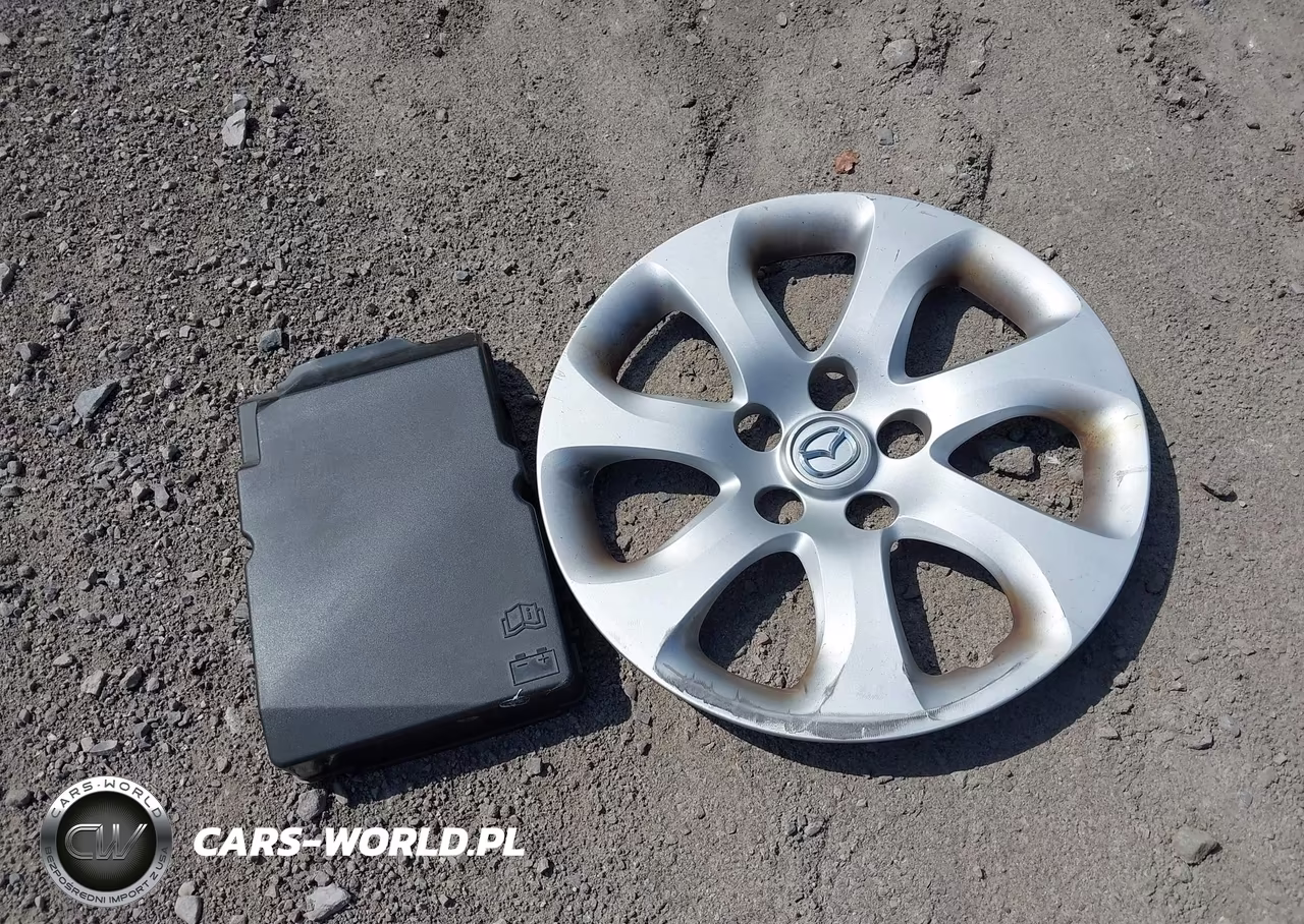 2010 Mazda Mazda3 I Sport VIN:JM1BL1SF2A1267286 - 12